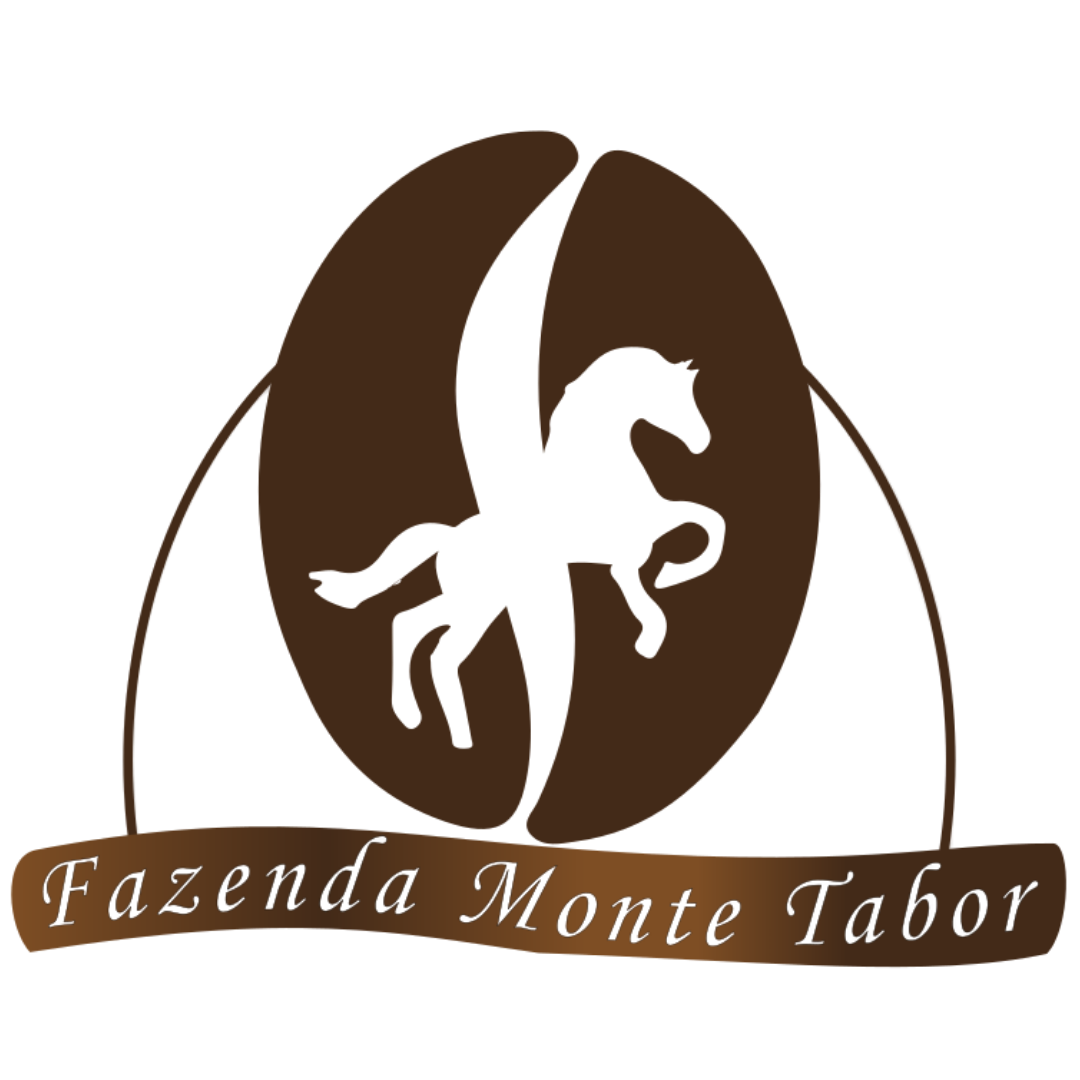 Desenvolvimento de logo